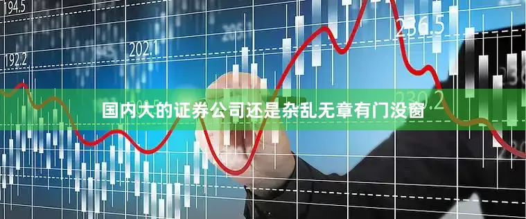 国内大的证券公司还是杂乱无章有门没窗